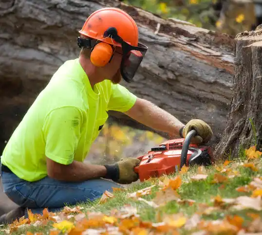 tree services Oakboro